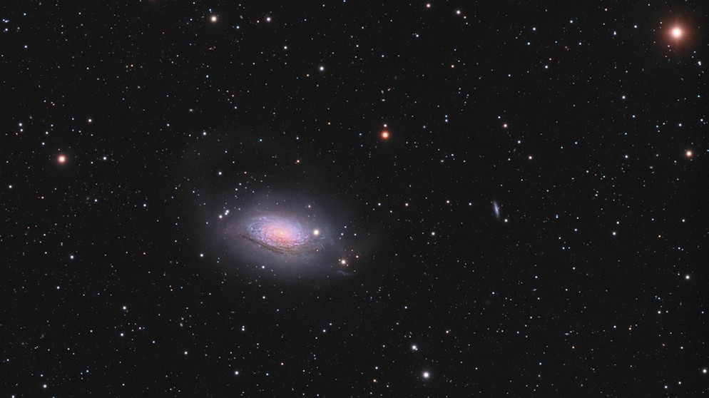 M63 (Messier 63) wird auch die Sonnenblumengalaxie genannt und liegt im Sternbild Jagdhunde | Bild: Markus Bauer