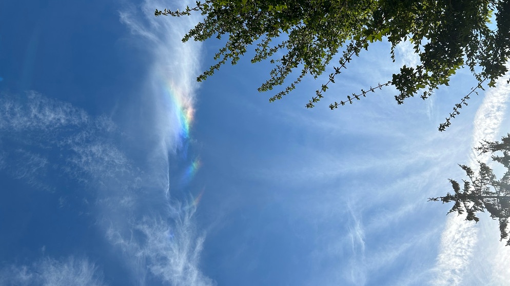 Ein Halo in Regenbogenfarben an einer Cirruswolke, fotografiert von Anna Martelli im August 2024. | Bild: Anna Martelli