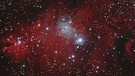 Der Konusnebel (ganz links) neben dem Weihnachtsbaum-Sternhaufen (zusammen NGC 2264) im Sternbild Einhorn, fotografiert von Alexander Weindl | Bild: Alexander Weindl