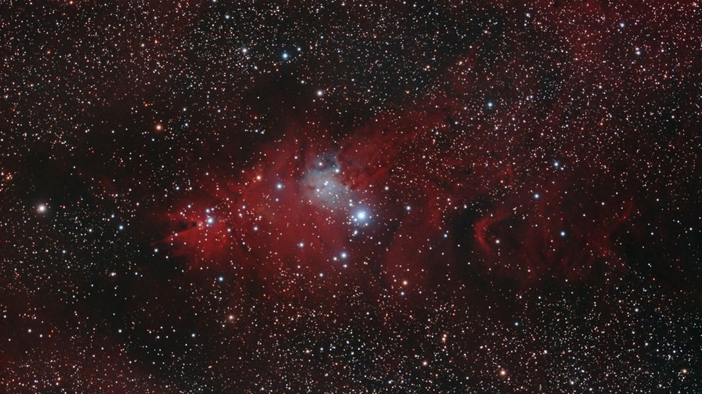 Der Konusnebel (ganz links) neben dem Weihnachtsbaum-Sternhaufen (zusammen NGC 2264) im Sternbild Einhorn, fotografiert von Alexander Weindl | Bild: Alexander Weindl