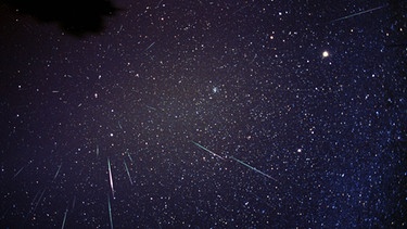 Leoniden-Sternschnuppen mit deutlich erkennbaren Radianten (Ausstrahlungspunkt), aufgenommen im November 2001. Der Meteor-Strom im November hat seinen scheinbaren Ausstrahlungspunkt im Sternbild Löwe (Leo) | Bild: imago/Leemage