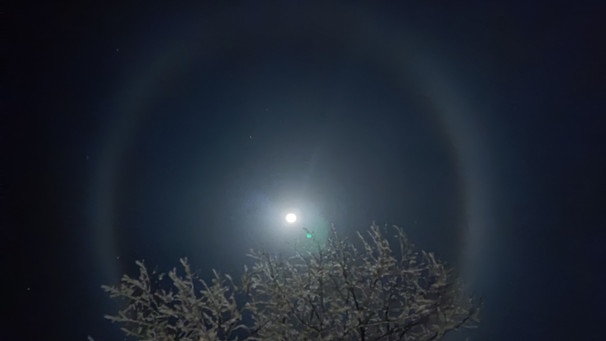 Eiskristalle in der Luft zaubern diese schöne Halo um den Mond, fotografiert am 12. Dezember 2024 von Sandrine Bogadi in Winterberg. | Bild: Sandrine Bogadi