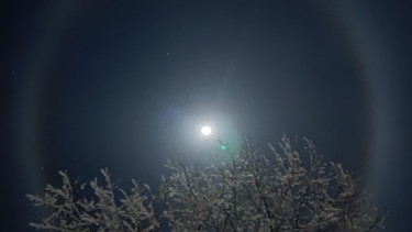 Eiskristalle in der Luft zaubern diese schöne Halo um den Mond, fotografiert am 12. Dezember 2024 von Sandrine Bogadi in Winterberg. | Bild: Sandrine Bogadi