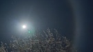 Eiskristalle in der Luft zaubern diese schöne Halo um den Mond, fotografiert am 12. Dezember 2024 von Sandrine Bogadi in Winterberg. | Bild: Sandrine Bogadi