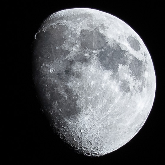 Goldener Henkel bei Vollmond | Bild: Otto Jost