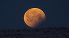 Ende der Teilfinsternis bei der totalen Mondfinsternis am 21. Januar 2019, fotografiert von Virginie Illig aus Stollberg kurz vor dem Mond-Untergang | Bild: Virginie Illig