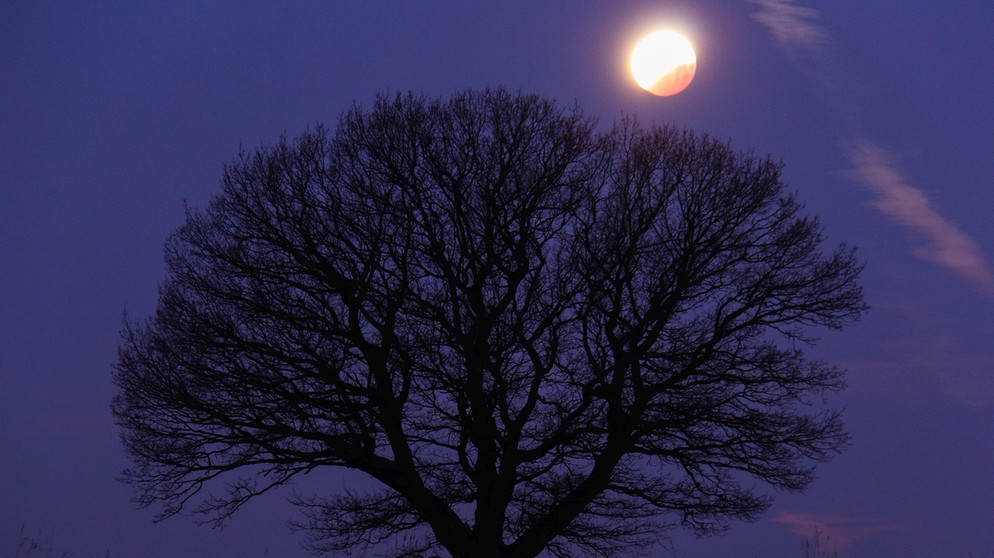 Mondfinsternis am 21. Januar 2019 über der Hombresser Friedenseiche in Hofgeismar, kurz vor dem Ende der Totalität, aufgenommen von Johann Spuling. | Bild: Johann Spuling