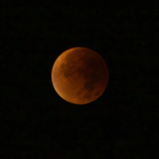 Totale Mondfinsternis über dem Schweizer Jura von Beatrice Pulfer | Bild: Beatrice Pulver