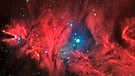 Emissionsnebelgebiet NGC 2264 mit Konusnebel und Weihnachts-Sternhaufen im Sternbild Einhorn | Bild: Stefan Hahne