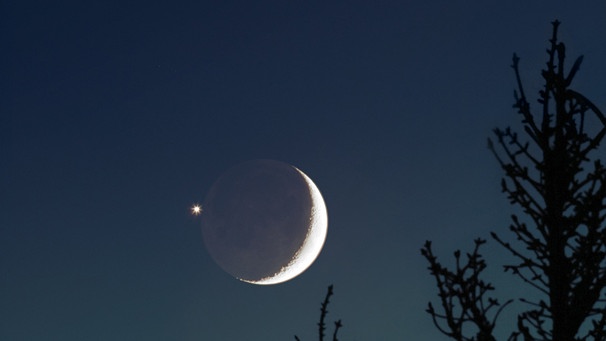 Die junge Mondsichel mit aschfahlem Mondlicht am Abendhimmel neben dem Planeten Venus | Bild: Johannes Schedler / Panther Observatory