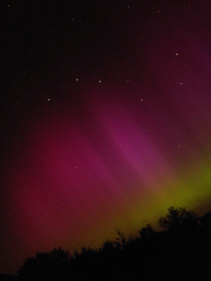 Polarlichter vor dem Sternbild Großer Wagen, fotografiert in Schwedeneck am 13. August 2024 von Nadja Cil | Bild: Nadja Cil