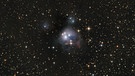 Der Reflexionsnebel NGC7129 im Kepheus. Ca, 8 Stunden belichtet, Teleskop war ein 12", F/4 Newton Teleskop, Kamera eine QHY183MM. Es wurden H-alpha-gefilterte Aufnahmen hinzugefügt, um die die Herbig-Haro-Objekte in dem Nebel stärker hervorzuheben. | Bild: Carsten Reese