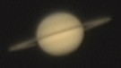 Der Planet Saturn am 14. April 2009 - mit Blick fast auf die Kante seiner Ringebene | Bild: Sven Melchert