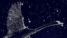 symbolische Darstellung der Sternilder Schwan (Cygnus) und Skorpion (Scorpio) vor dem Sternenhimmel | Bild: NASA/U.S. Naval Observatory's Library, colourbox.com, BR