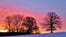 Farbenfrohes Morgenrot im Chiemgau am 15. Februar 2018 | Bild: Irmi Doll