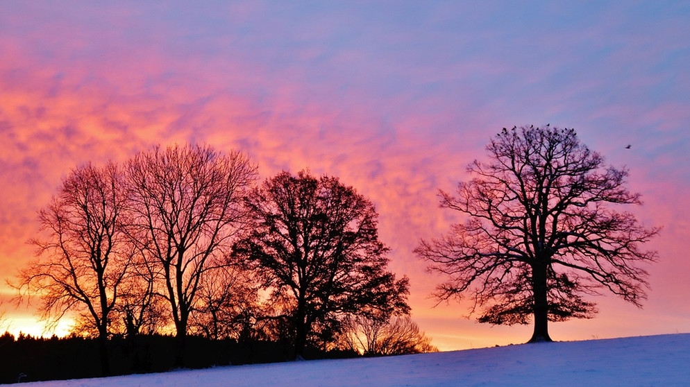 Farbenfrohes Morgenrot im Chiemgau am 15. Februar 2018 | Bild: Irmi Doll