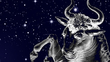 symbolische Darstellung des Sternilds Stier (Taurus) | Bild: NASA/U.S. Naval Observatory's Library, colourbox.com