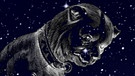 symbolische Darstellung des Sternilds Großer Hund | Bild: NASA/U.S. Naval Observatory's Library, colourbox.com