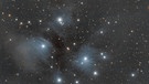 Messier 45, die Plejaden, ein offener Sternhaufen mit Refelxionsnebel im Sternbild Taurus (Stier), bekannt als Siebengestirn | Bild: Udo Siepmann