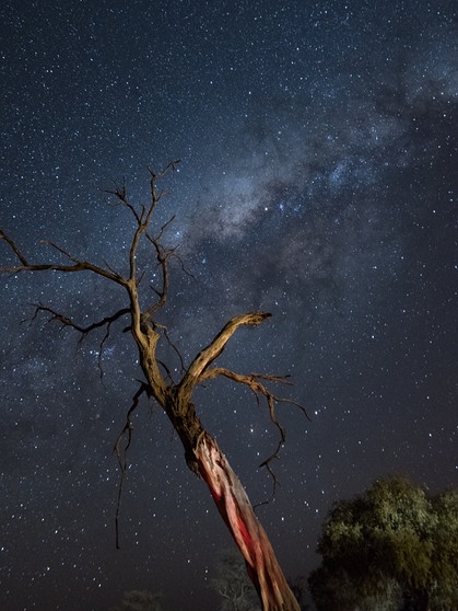 Foto der Milchstraße - entstanden während einer Rundreise in Namibia im September 2016 | Bild: Peter Löffler