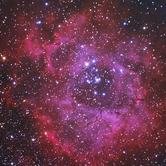 Rosettennebel im Sternbild Einhorn, mit offenem Sternhaufen NGC 2244 im Zentrum | Bild: Wolfgang Barth