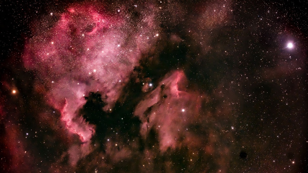 Deutlich in der Bildmitte: Der Pelikannebel (IC 5070). Links darüber ist der Nordamerikanebel (NGC 7000) zu sehen. Beide Nebel befinden sich im Sternbild Schwan (Cygnus). Aufgenommen von Dieter Kohlruss. | Bild: Dieter Kohlruss