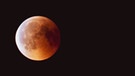 Mondfinsternis mit rotem Blutmond über Markneukirchen. | Bild: Patricia Berndt