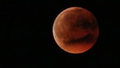 Blutmond hinter Wolkenschlieren während der totalen Mondfinsternis am 27. Juli 2018 | Bild: Max Stelzel