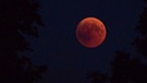 Blutmond während der totalen Mondfinsternis am 27. Juli 2018 über Dresden, aufgenommen von Vincent Koch. | Bild: Vincent Koch