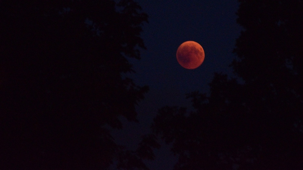 Blutmond während der totalen Mondfinsternis am 27. Juli 2018 über Dresden, aufgenommen von Vincent Koch. | Bild: Vincent Koch