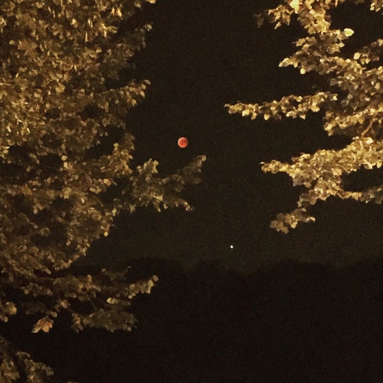 Blutmond während der totalen Mondfinsternis am 27. Juli 2018 über München, aufgenommen von Tanja Fieber. | Bild: Tanja Fieber