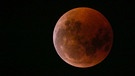 Blutmond während der totalen Mondfinsternis am 27. Juli 2018 über München, aufgenommen von Felix Opahle. | Bild: Felix Opahle