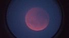 Blutmond während der totalen Mondfinsternis am 27. Juli 2018 über München, aufgenommen von Elias Theimer mit dem Smartphone durchs Okular eines Teleskopes. | Bild: Elias Theimer