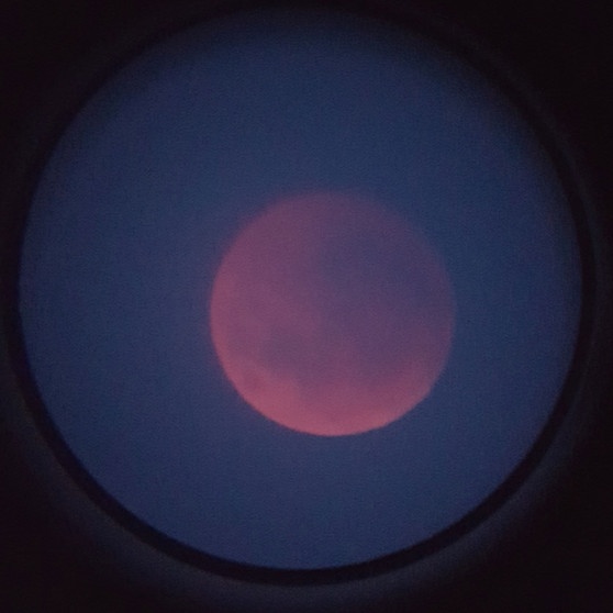 Blutmond während der totalen Mondfinsternis am 27. Juli 2018 über München, aufgenommen von Elias Theimer mit dem Smartphone durchs Okular eines Teleskopes. | Bild: Elias Theimer