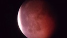 Blutmond während der totalen Mondfinsternis am 27. Juli 2018 über München, aufgenommen von Elias Theimer mit dem Smartphone durchs Okular eines Teleskopes. | Bild: Elias Theimer