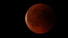 Blutmond während der totalen Mondfinsternis am 27. Juli 2018 über Biederitz bei Magdeburg, aufgenommen von Andreas Weinert | Bild: Andreas Weinert