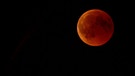 Blutmond während der totalen Mondfinsternis am 27. Juli 2018, aufgenommen von Johannes Jacob | Bild: Johannes Jacob