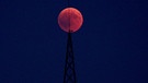 Blutmond während der totalen Mondfinsternis am 27. Juli 2018 über Sinsheim, aufgenommen von Martin Paar | Bild: Martin Paar