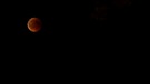 Blutmond mit Mars während der totalen Mondfinsternis am 27. Juli 2018 über München, aufgenommen von Armin Engel | Bild: Armin Engel