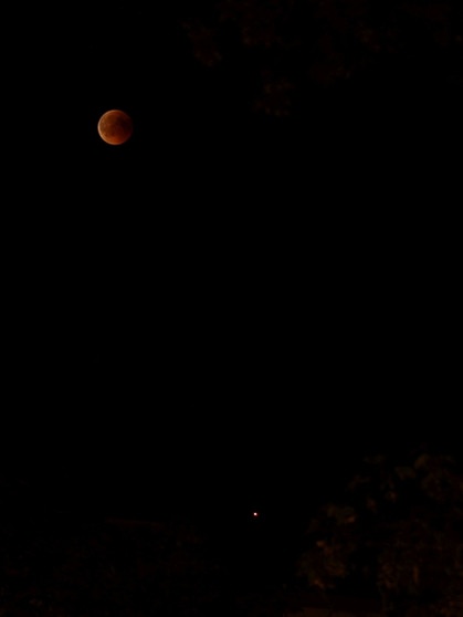 Blutmond mit Mars während der totalen Mondfinsternis am 27. Juli 2018 über München, aufgenommen von Armin Engel | Bild: Armin Engel