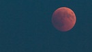 Blutmond während der totalen Mondfinsternis am 27. Juli 2018 über München, aufgenommen von Markus Weber | Bild: Markus Weber