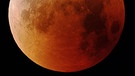 Blutmond während der totalen Mondfinsternis am 27. Juli 2018 über Martinsried bei München von Luis Brandstätter | Bild: Luis Brandstätter