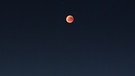 Blutmond während der totalen Mondfinsternis am 27. Juli 2018 über Nauen bei Berlin von Julia Reinicke | Bild: Julia Reinicke