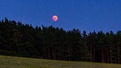 Blutmond während der totalen Mondfinsternis am 27. Juli 2018 am Zauppenberg in der fränkischen Schweiz von Markus Scheibel | Bild: Markus Scheibel