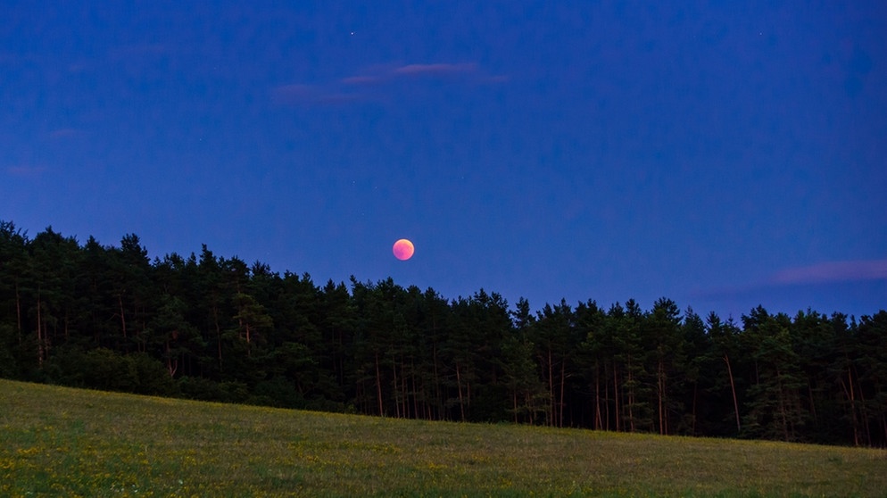 Blutmond während der totalen Mondfinsternis am 27. Juli 2018 am Zauppenberg in der fränkischen Schweiz von Markus Scheibel | Bild: Markus Scheibel