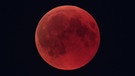 Blutmond während der totalen Mondfinsternis am 27. Juli 2018 über Brandenburg an der Havel von Jörg Schenk | Bild: Jörg Schenk