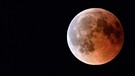 Blutmond während der totalen Mondfinsternis am 27. Juli 2018 über Rosenheim von Sebastian Herold | Bild: Sebastian Herold