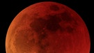 Blutmond während der totalen Mondfinsternis am 27. Juli 2018 südlich von Regensburg von Ralf Schkutov | Bild: Ralf Schkutov