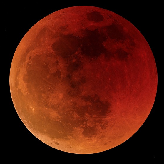 Blutmond während der totalen Mondfinsternis am 27. Juli 2018 südlich von Regensburg von Ralf Schkutov | Bild: Ralf Schkutov