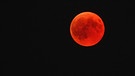 Blutmond während der totalen Mondfinsternis am 27. Juli 2018 über Schwabmünchen von Uwe Rex | Bild: Uwe Rex